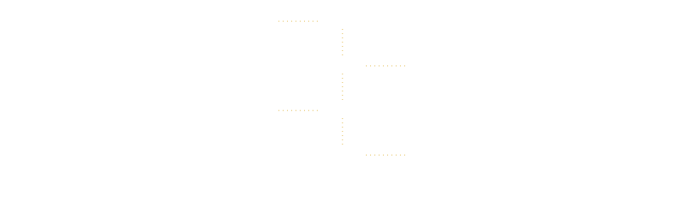 Timeline Laura Zamora