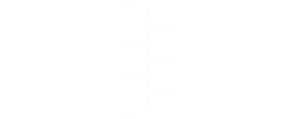 Timeline Diana Zamora