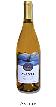 Vino Avante